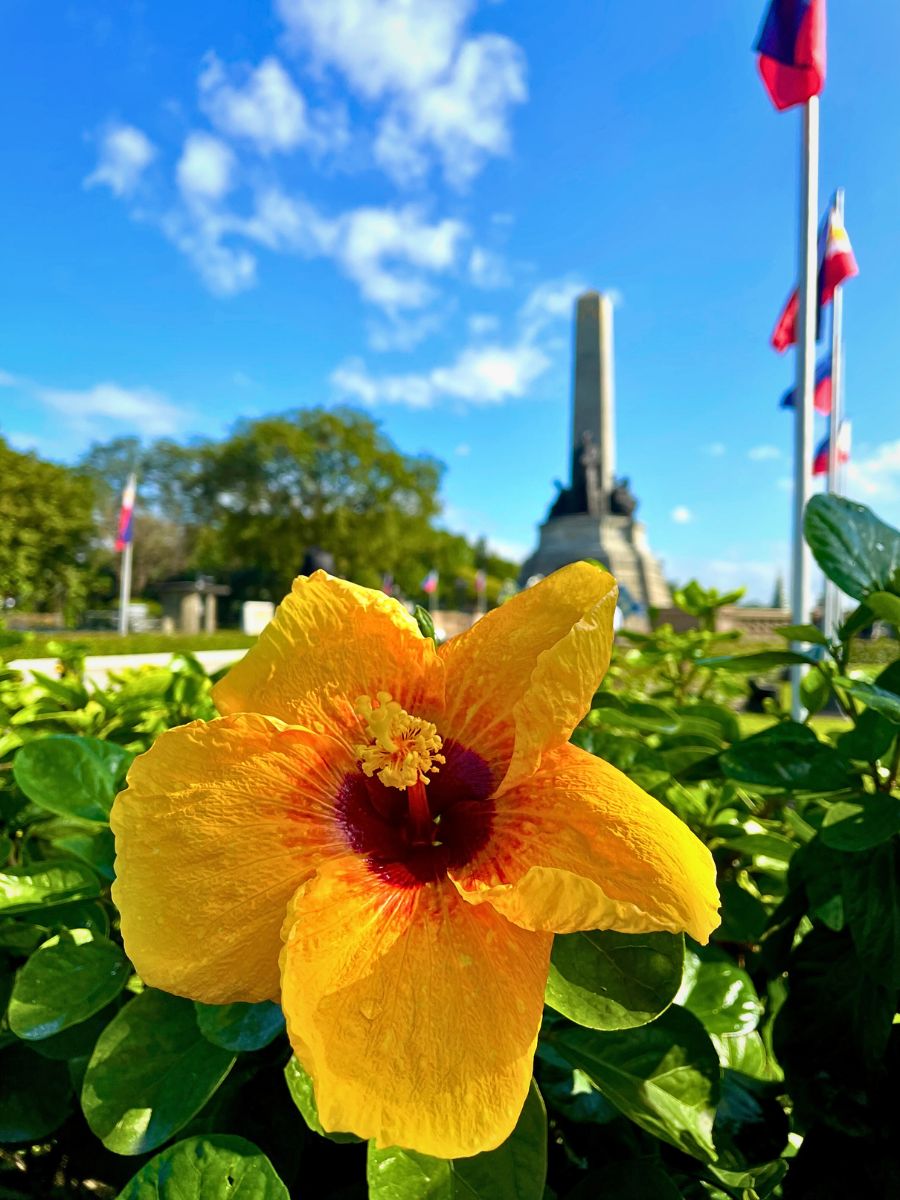 Hibiscus Cecille Lorenzana: Rizal Park Luneta - A Living Garden of Shared Heritage - Thursd Blog