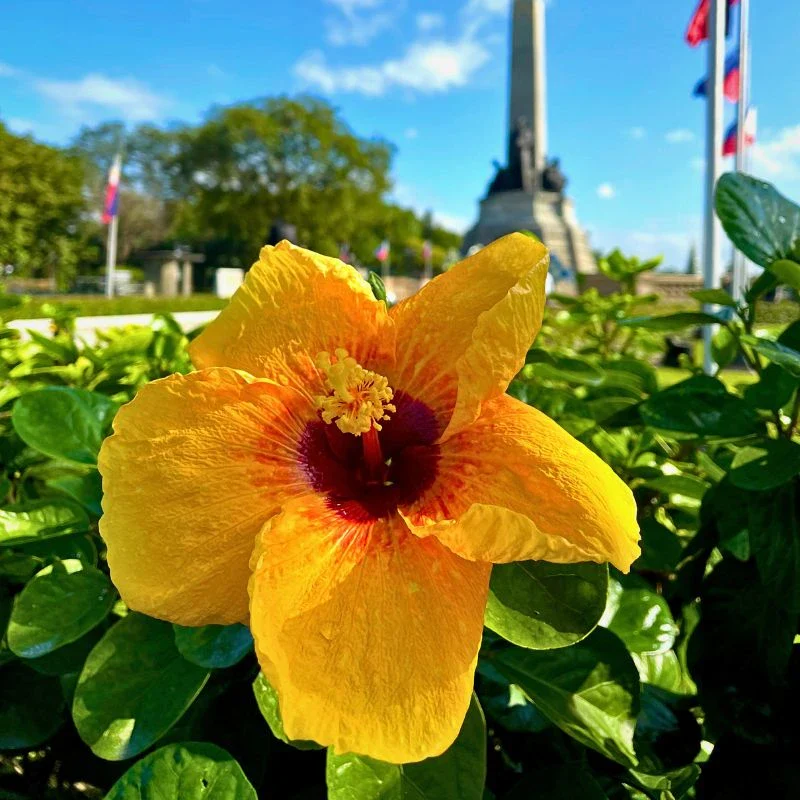 Rizal Park Luneta