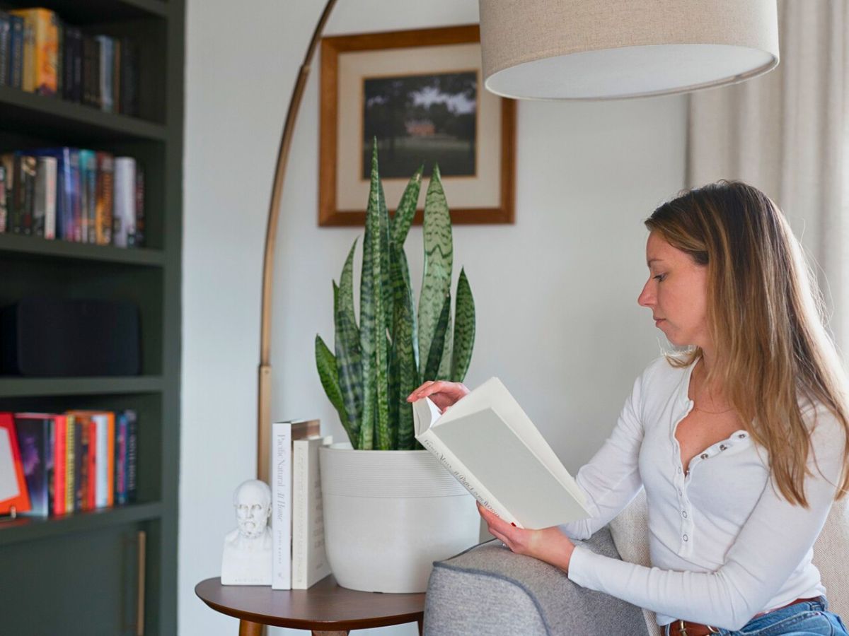 Studying next to a plant Studying next to a plant