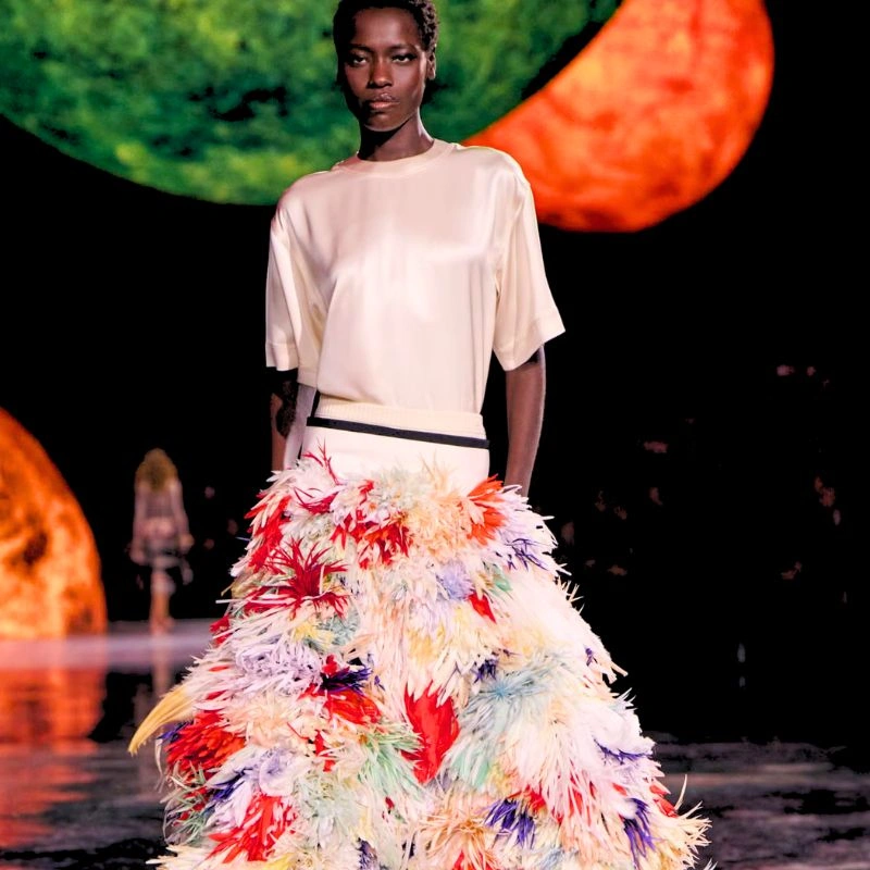 Chanel cosmos show