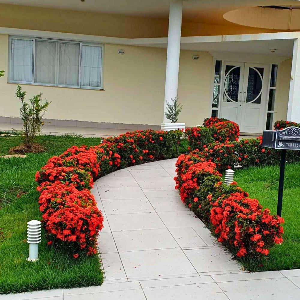 Gardening with Ixora