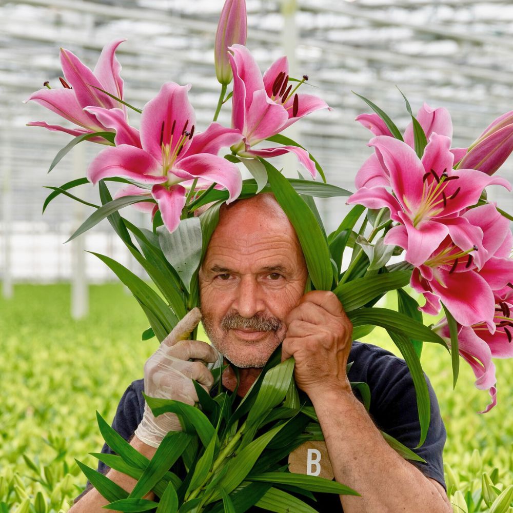 a bunch of pink lilies from Bredefleur a bunch of pink lilies from Bredefleur