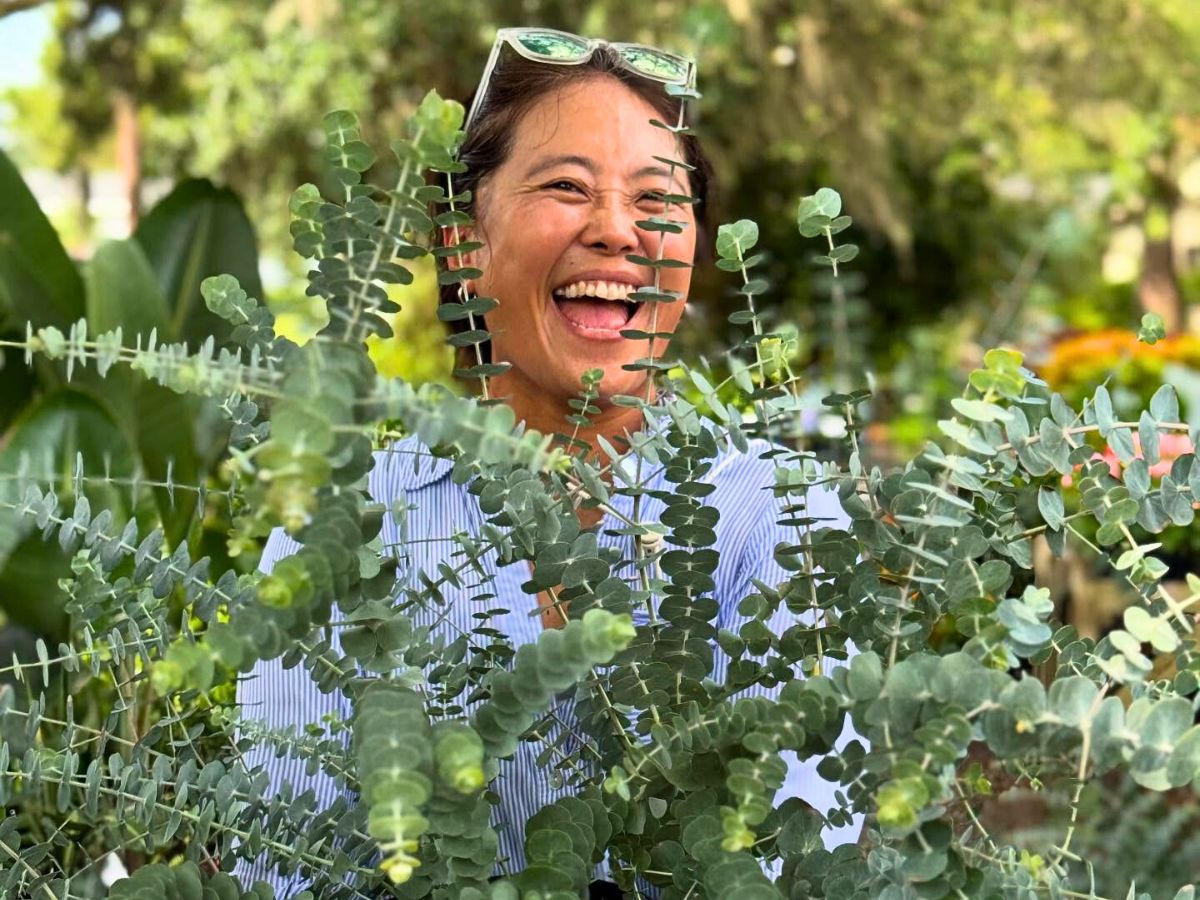 A lady holding a bunch of Eucalyptus A lady holding a bunch of Eucalyptus