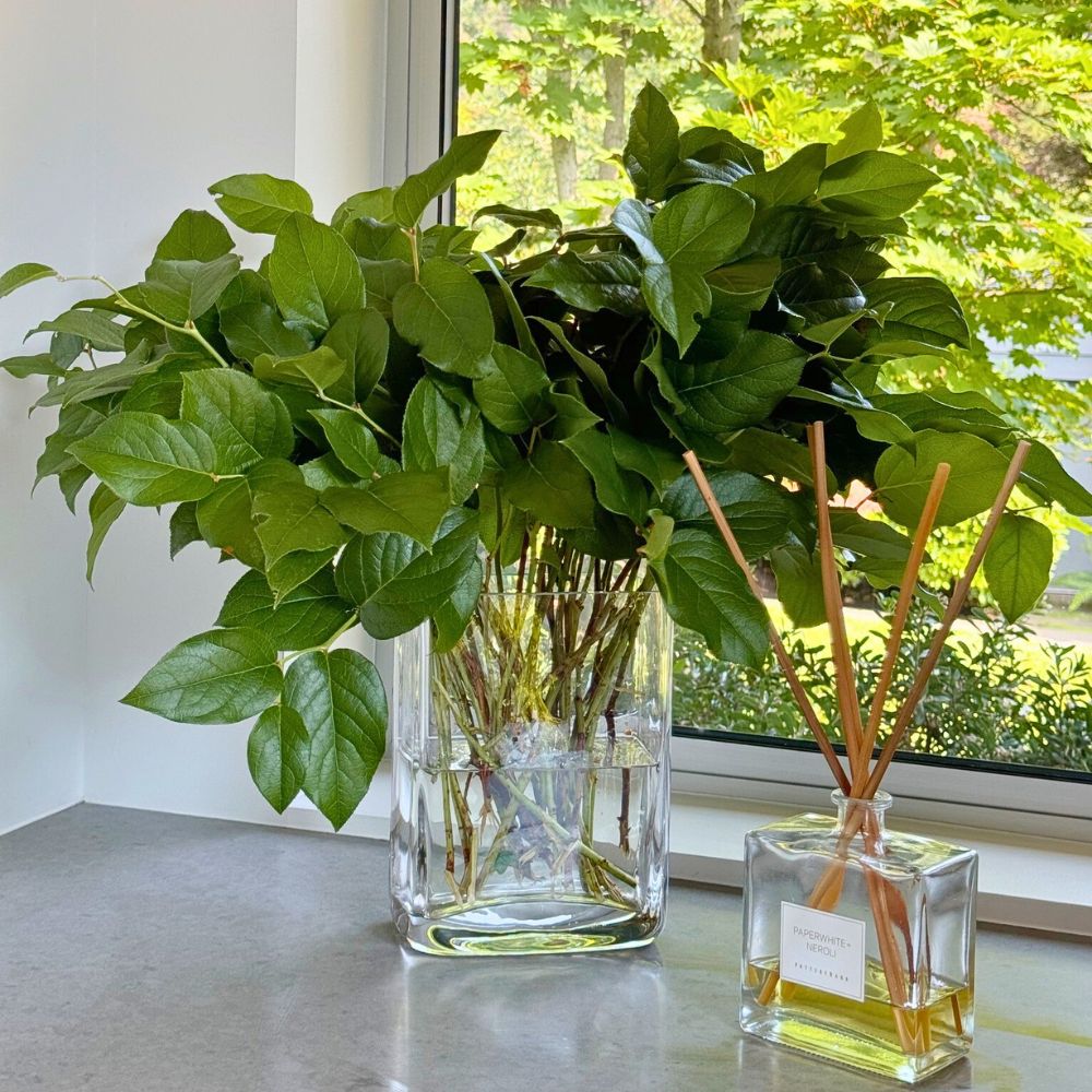 A vase of Salal by Continental Floral Greens A vase of Salal by Continental Floral Greens