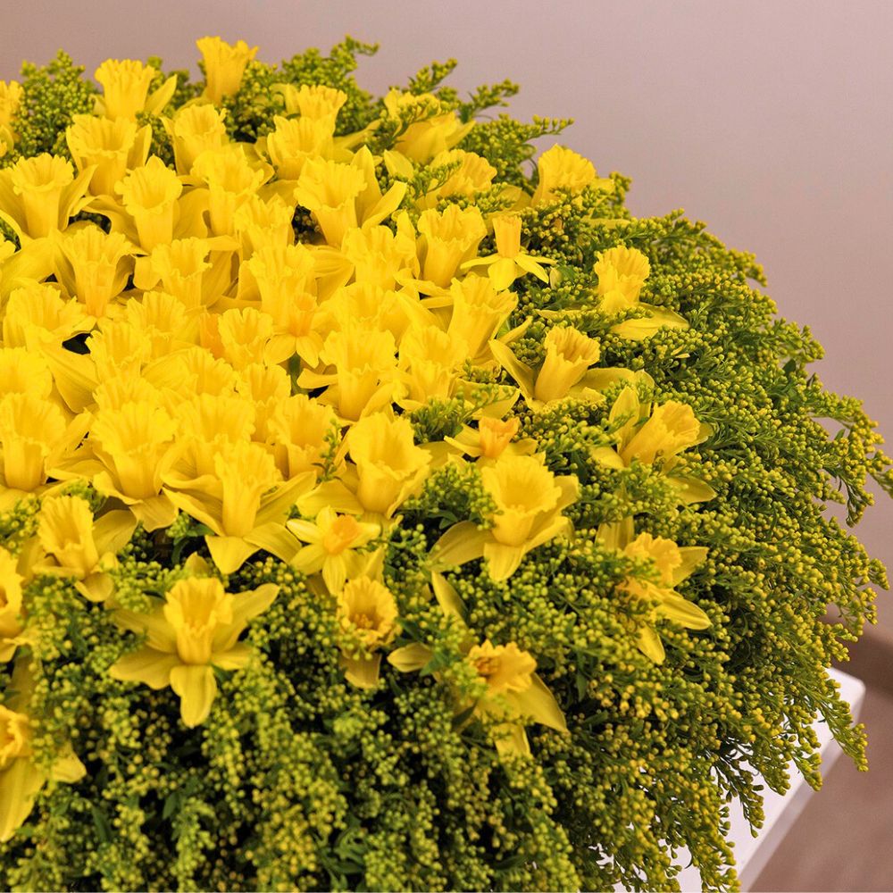 A design featuring Solidago Carzan Glory from Marginpar A design featuring Solidago Carzan Glory from Marginpar