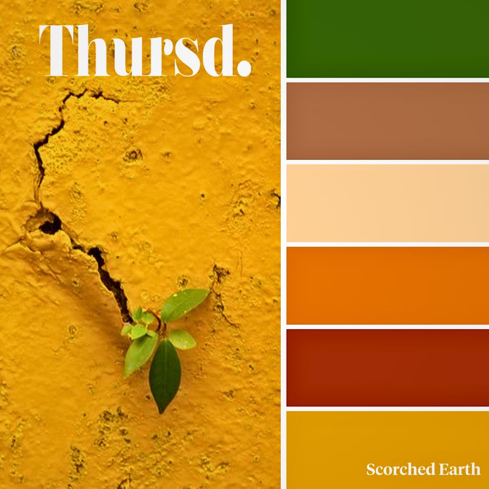 Scorched Earth Thursd Trend Color What Will Be the Floral Trend Color of 2026?