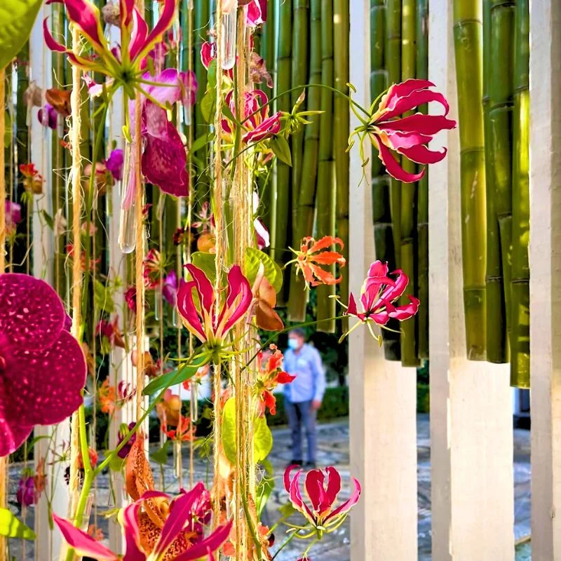 Installations at FLORA