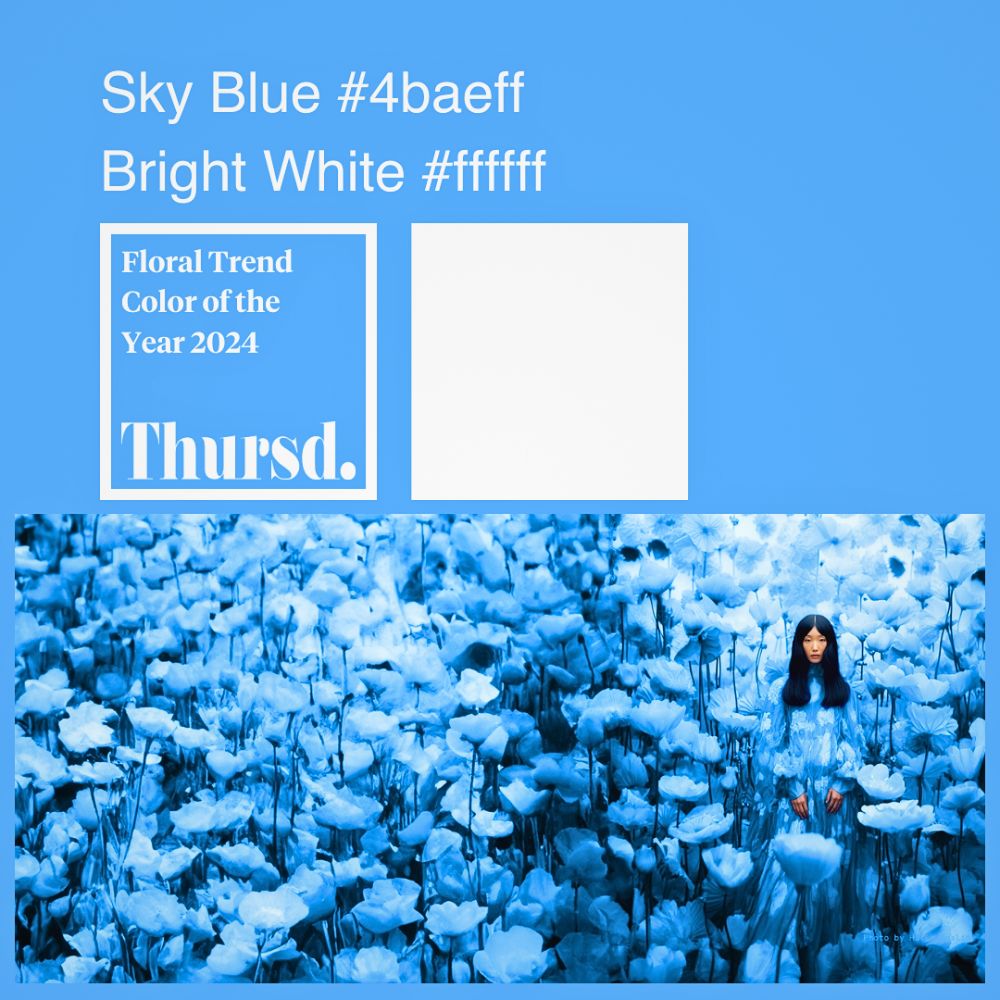 Sky Blue, the Thursd Trend color for 2024 What Will Be the Floral Trend Color of 2026?