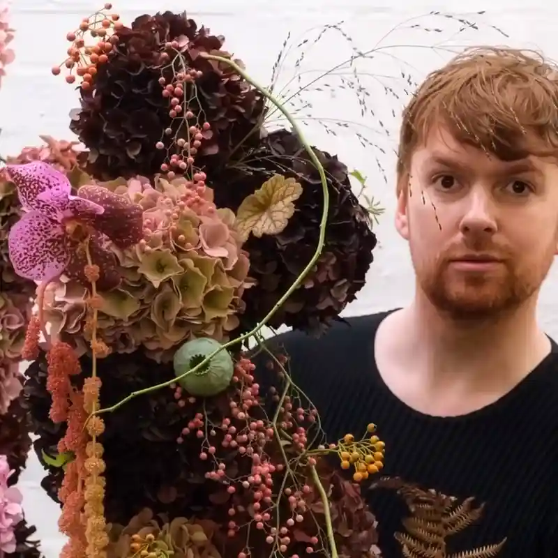 Hydrangea World Joseph Massie videos