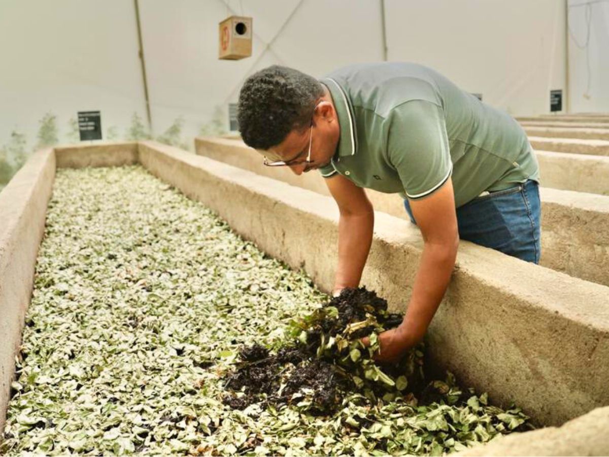 Ermiyas Solomon checking the Vermicompost from their green waste management project 10 Questions to Ermiyas Solomon
