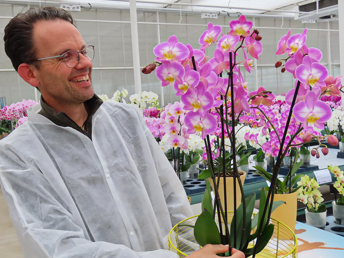 Anthura Gert-Jan Hoogendoorn with Phalaenopsis Sunca Anthura Gert-Jan Hoogendoorn with Phalaenopsis Sunca