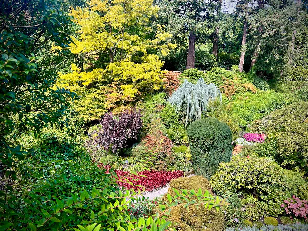 Colorful forest garden by Peter Ault