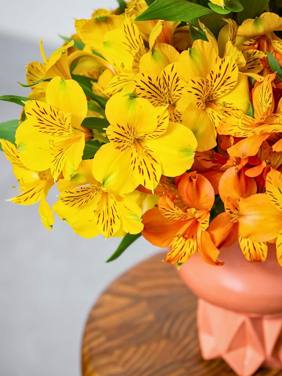 varieties from Könst Könst Alstroemeria Has the Perfect Alstroemeria Flowers for Every Floral Designers Designs