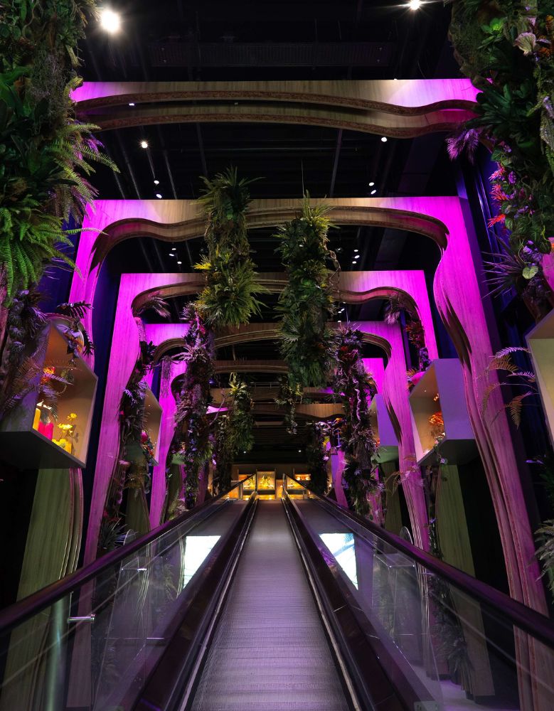 Take a look inside by FloriWorld 