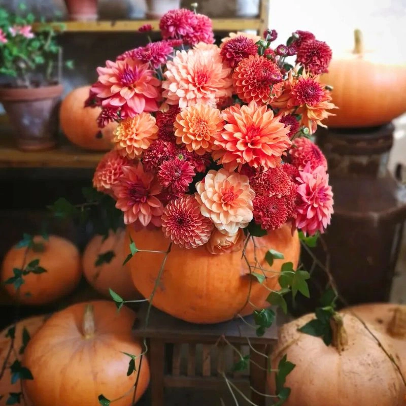 Pumpkin with flowers