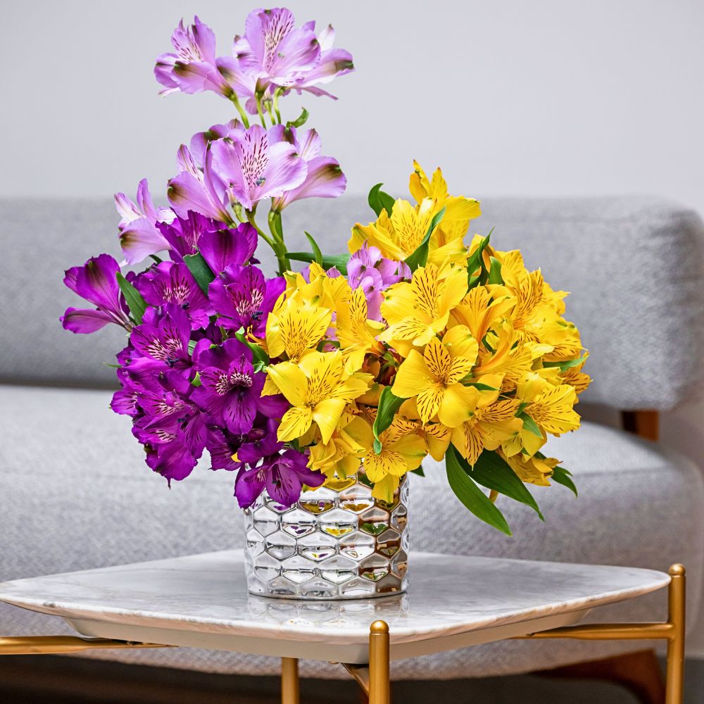 Alstroemeria varieties Könst Könst Alstroemeria Has the Perfect Alstroemeria Flowers for Every Floral Designers Designs