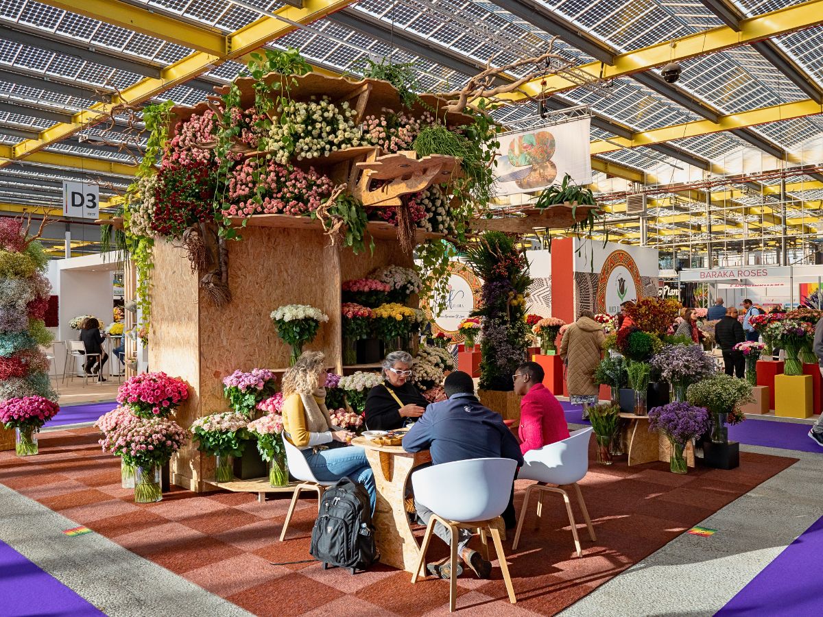 IFTF IFTF 2025 Is the Global Stage for Floriculture Excellence - Thursd Article