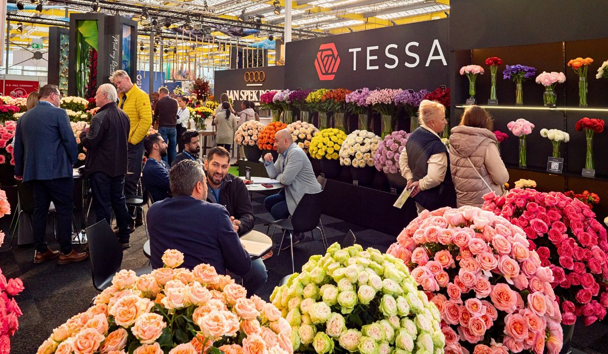 IFTF 2025 Is the Global Stage for Floriculture Excellence - Thursd Article