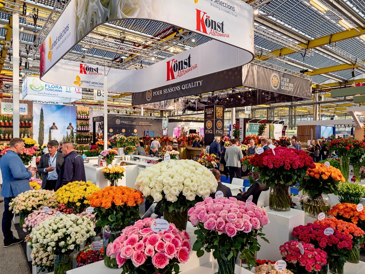 United Selections and Konst Alstroemeria booth IFTF 2025 Is the Global Stage for Floriculture Excellence - Thursd Article