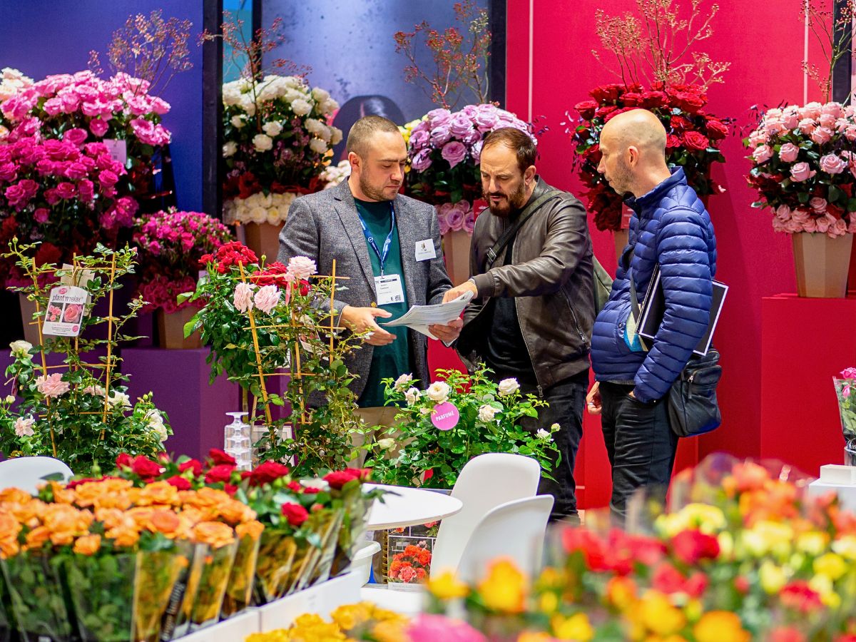IFTF 2025 Is the Global Stage for Floriculture Excellence - Thursd Article