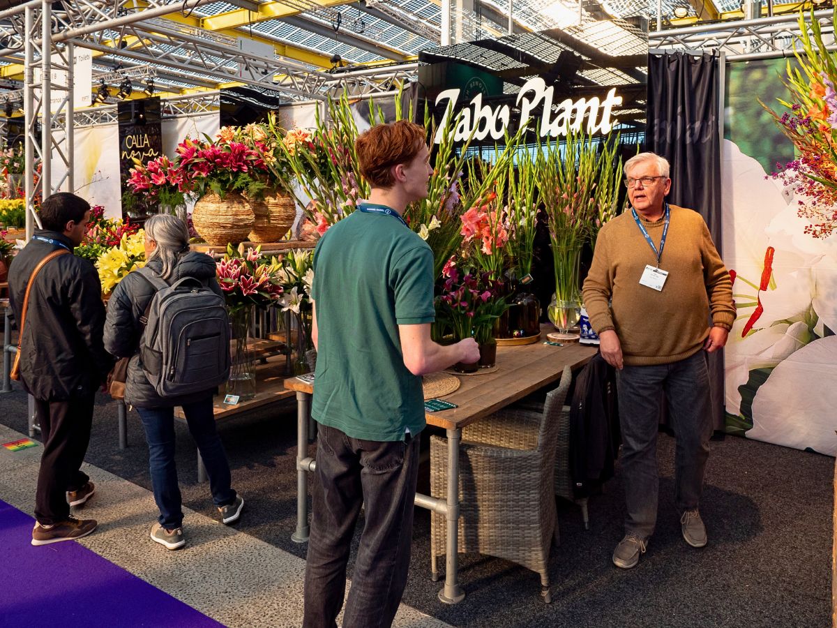 Zabo Plant at the IFTF IFTF 2025 Is the Global Stage for Floriculture Excellence - Thursd Article