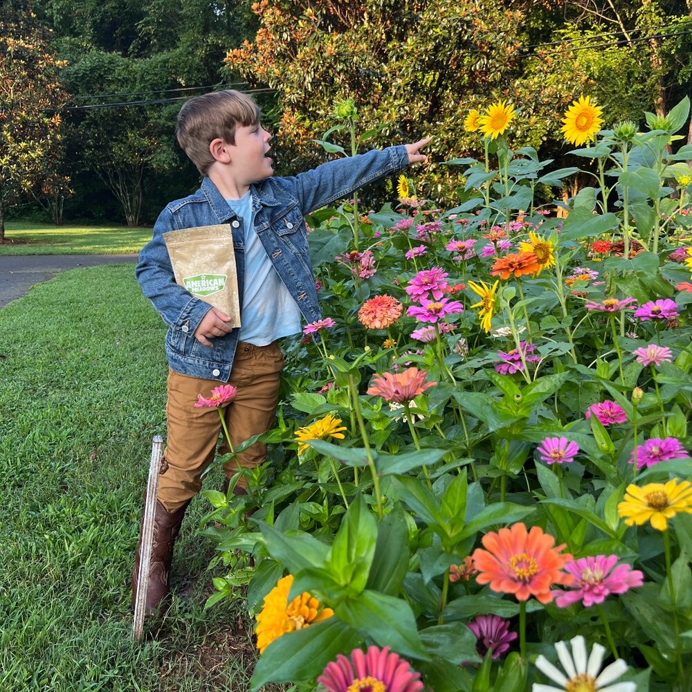 Boy pointing at colorful flower garden