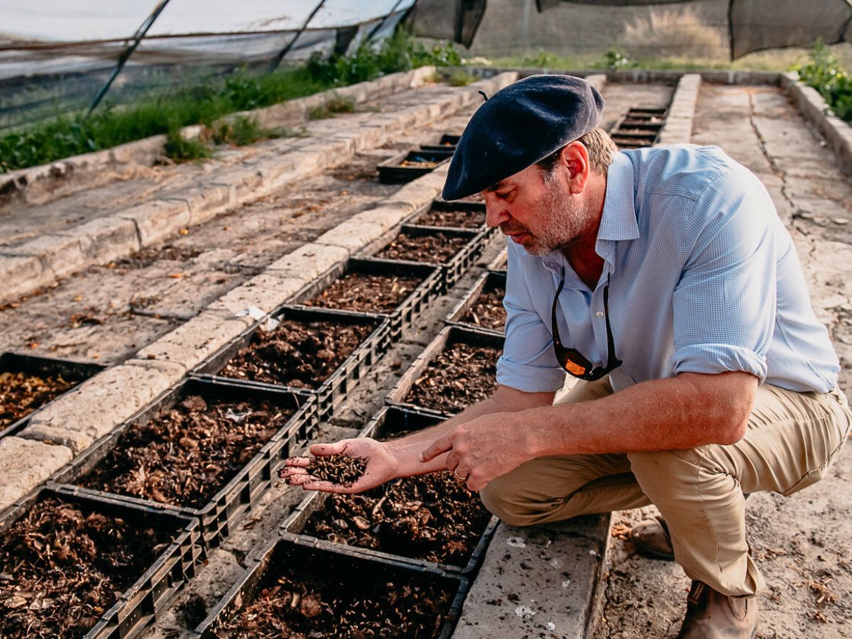 Black soldier fly larvae Why Tambuzi Leads the Way When It Comes to Soil Health Management