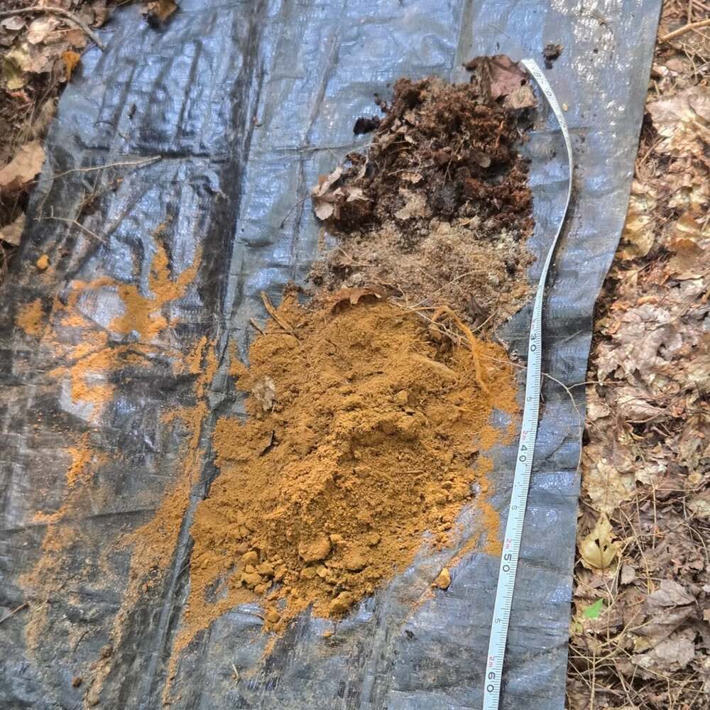 Soil core showing distinct horizons Soil core showing distinct horizons