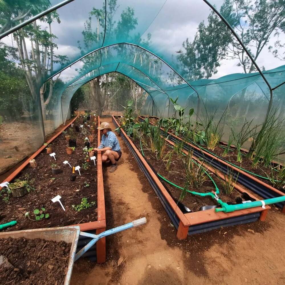Gardening in a hoop house structure Gardening in a hoop house structure
