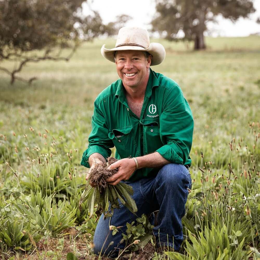 Farmer inspecting plant roots and soil Farmer inspecting plant roots and soil