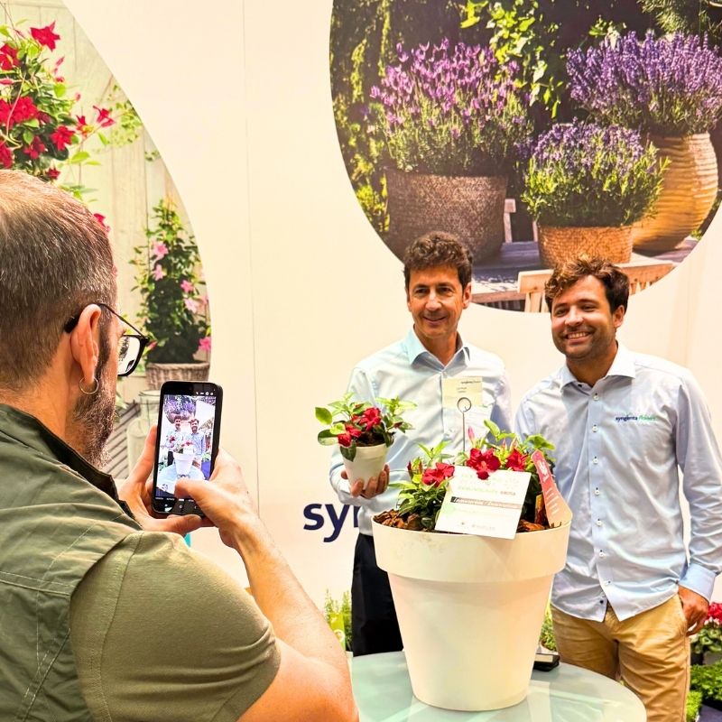 Winners Mandevilla hybrida “Rio Lipstick” at Iberflora 2025