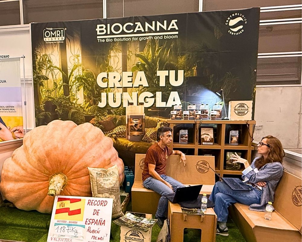Spanish record pumpkin at Iberflora 2025 Spanish record pumpkin at Iberflora 2025