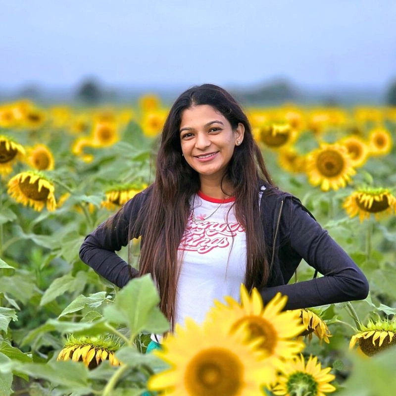 Sunflower meaning and symbolism