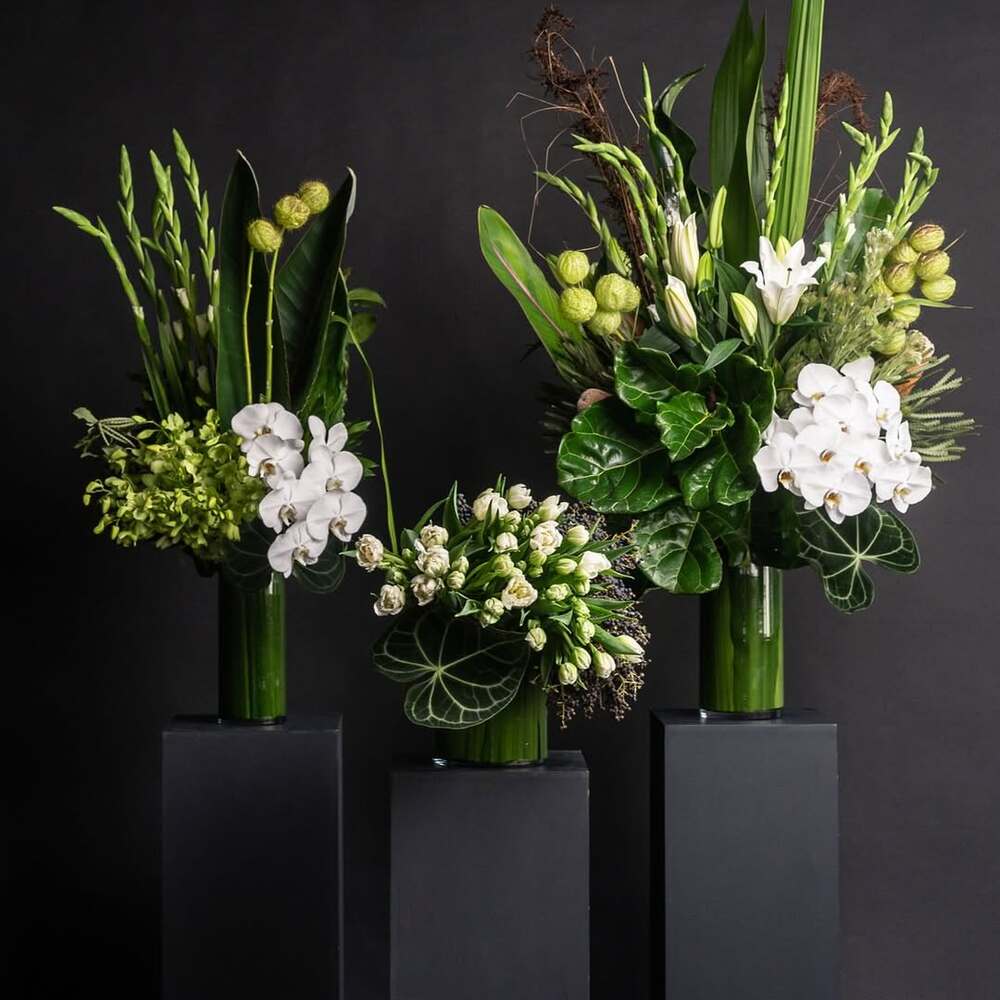 Orchid arrangements on black pedestals Orchid arrangements on black pedestals