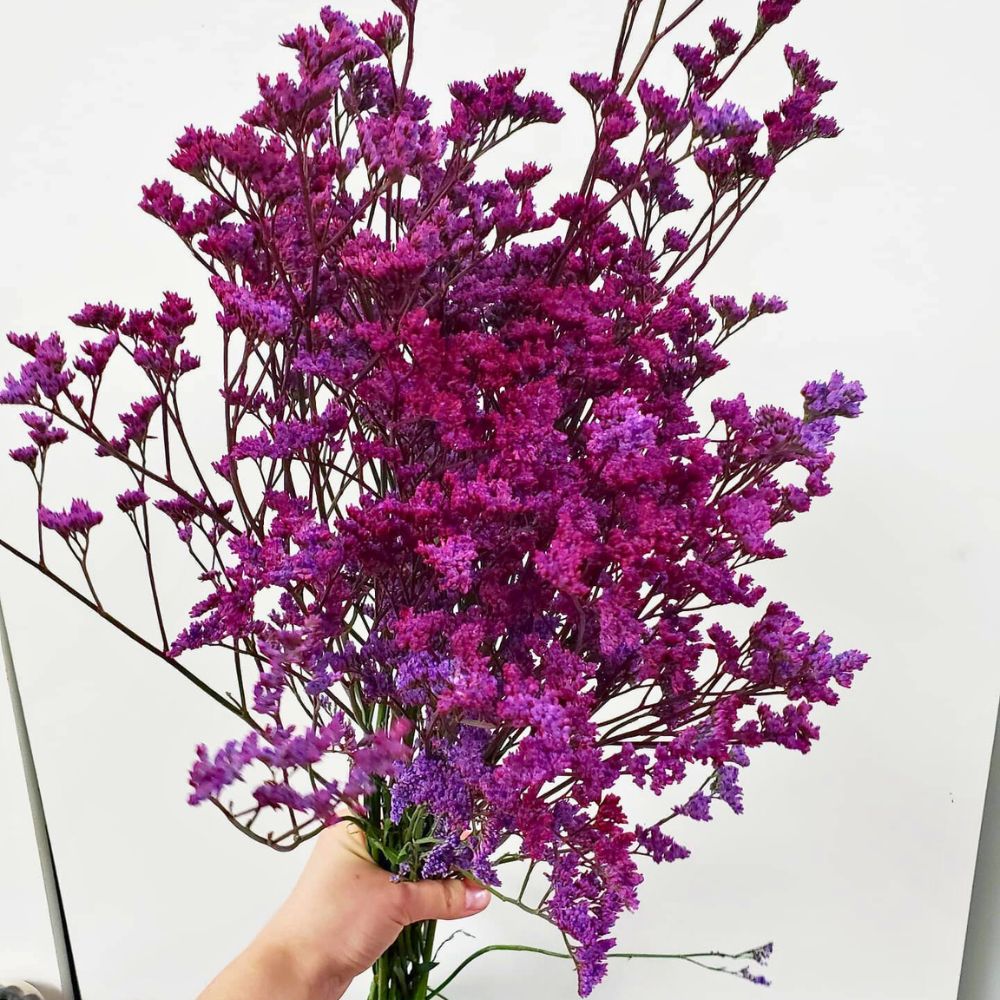 Fillers for a bouquet