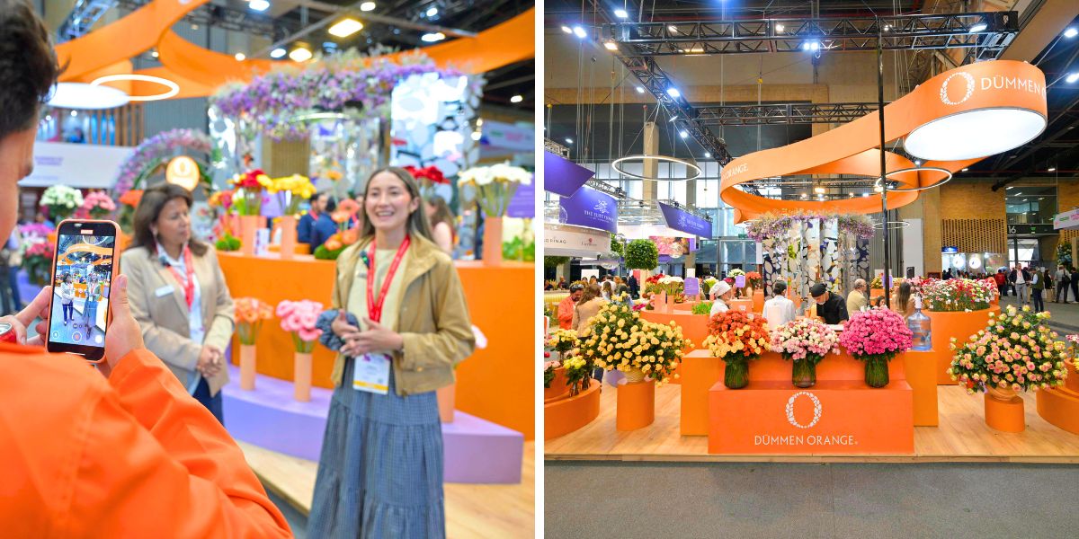 Moments at Proflora Dummen Orange