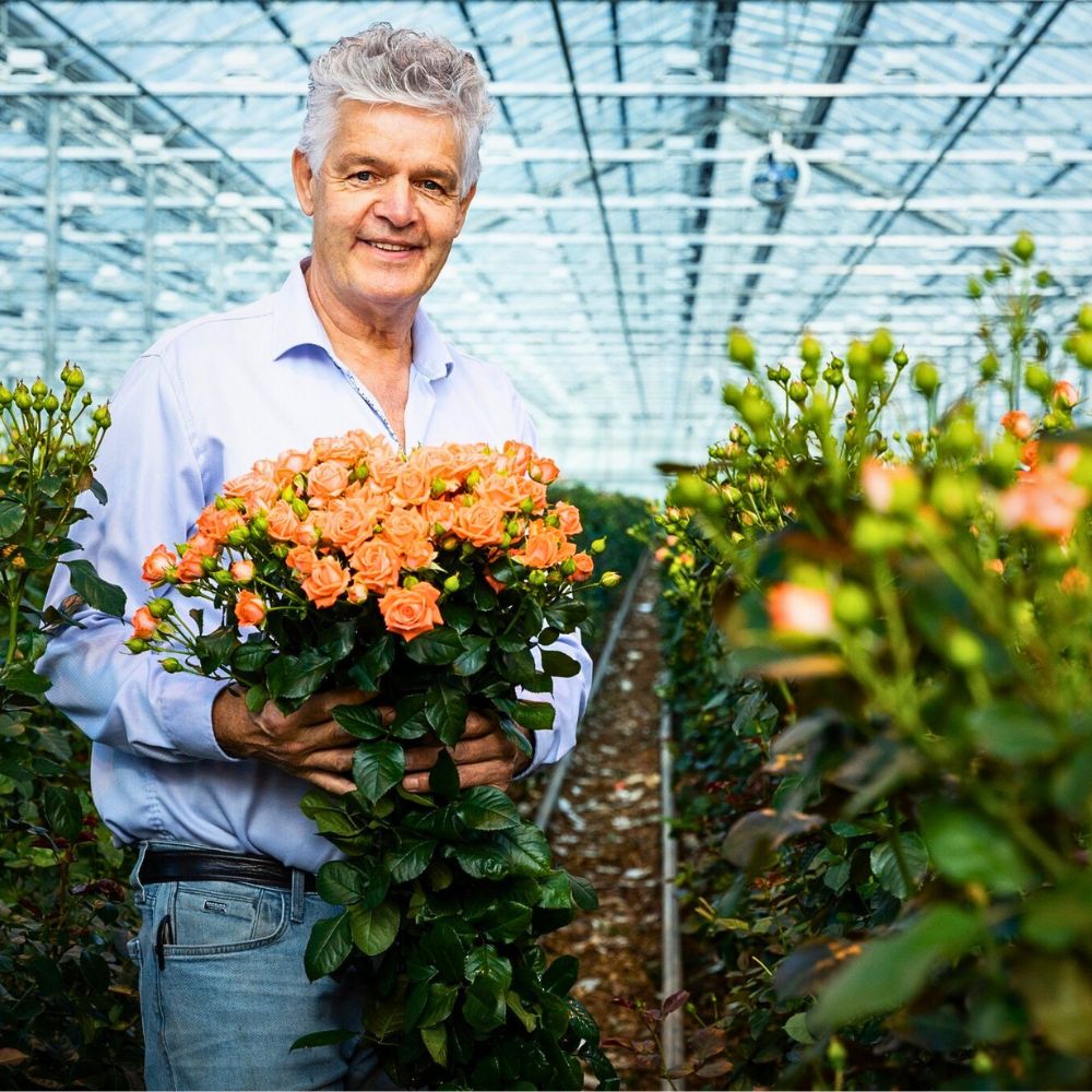 Roses How Data-Driven Analytics Help Flower Farms Reduce Their Environmental Impact