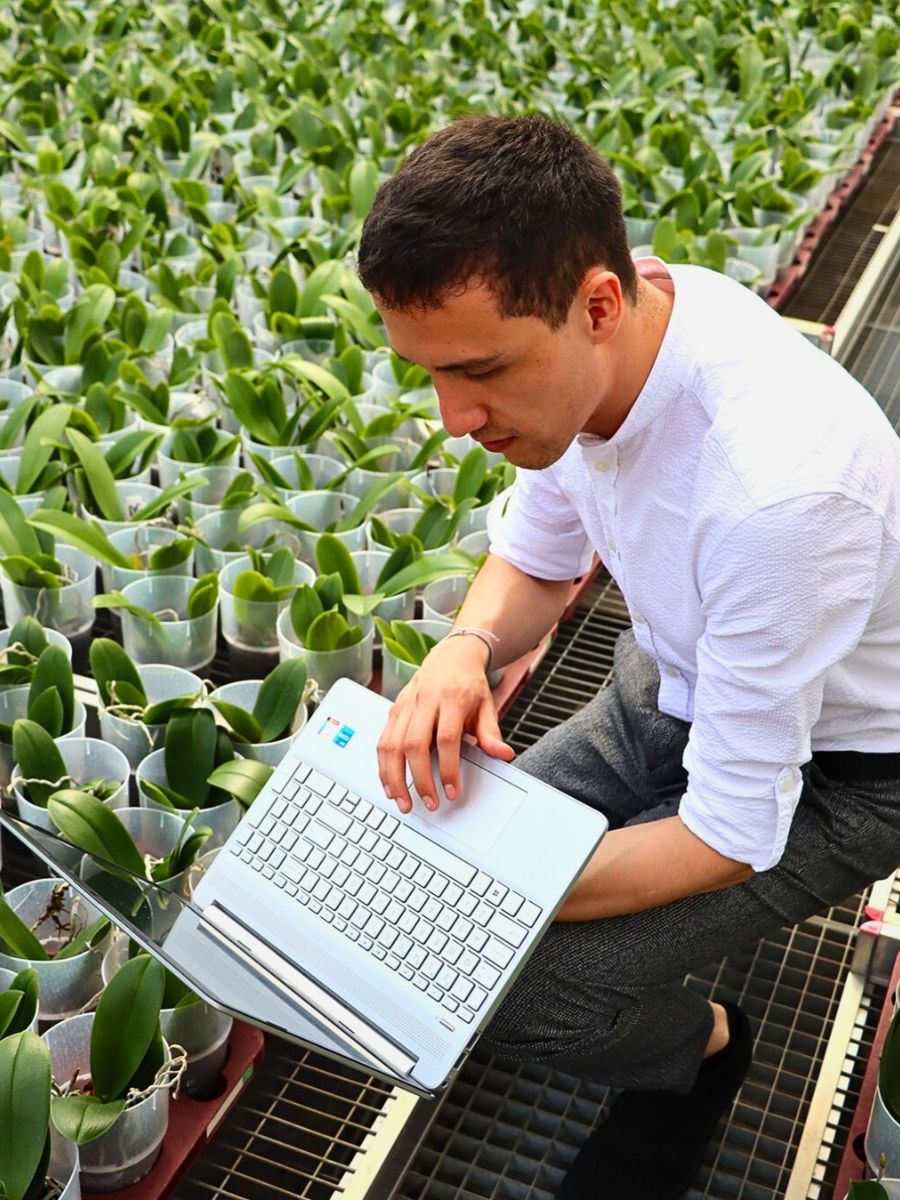 Greenhouse young plants How Data-Driven Analytics Help Flower Farms Reduce Their Environmental Impact