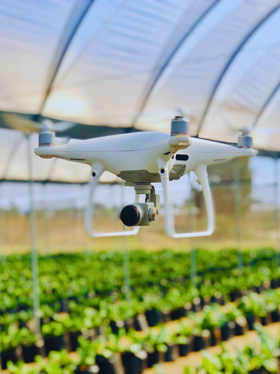 Drone plant monitoring How Data-Driven Analytics Help Flower Farms Reduce Their Environmental Impact