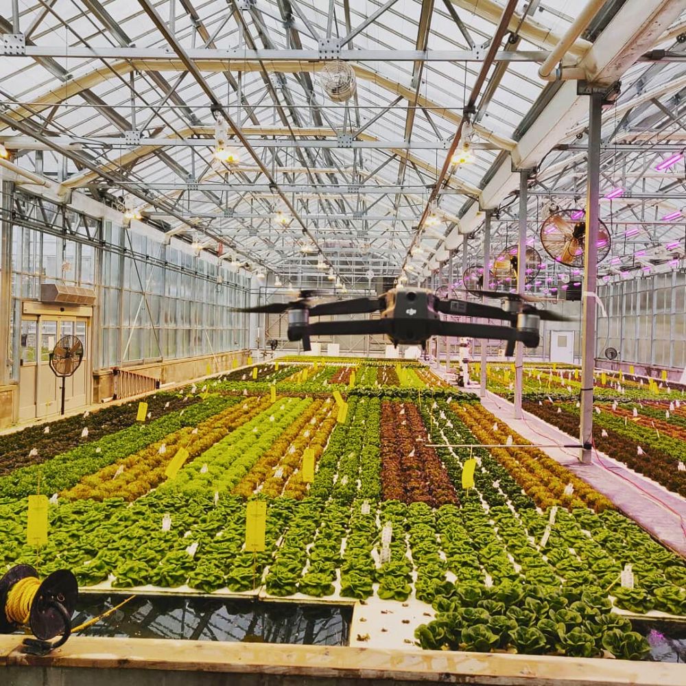 Greenhouse plants and flowers Data-Driven Analytics Help Flower Farms Reduce Their Environmental Impact