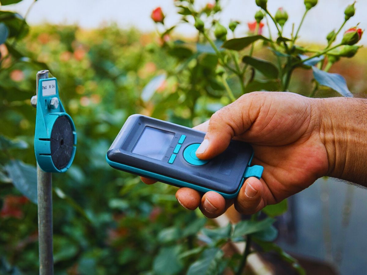 Flower cultivation How Data-Driven Analytics Help Flower Farms Reduce Their Environmental Impact