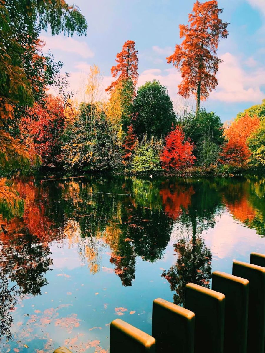 Fall at Kew Gardens