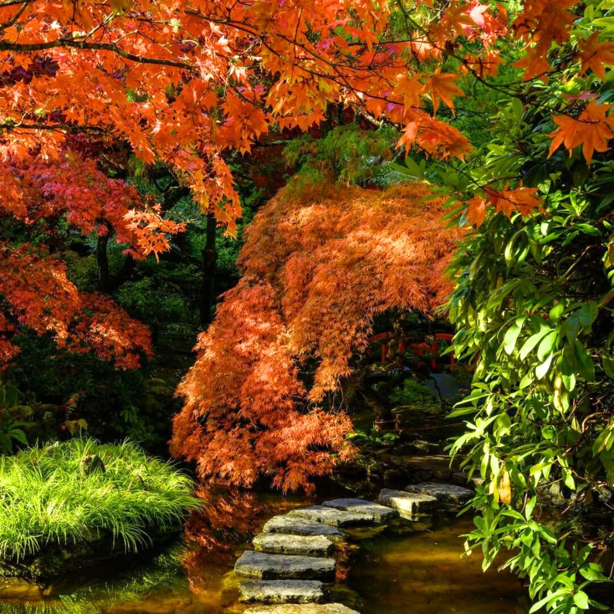Butchart Gardens Canada in fall