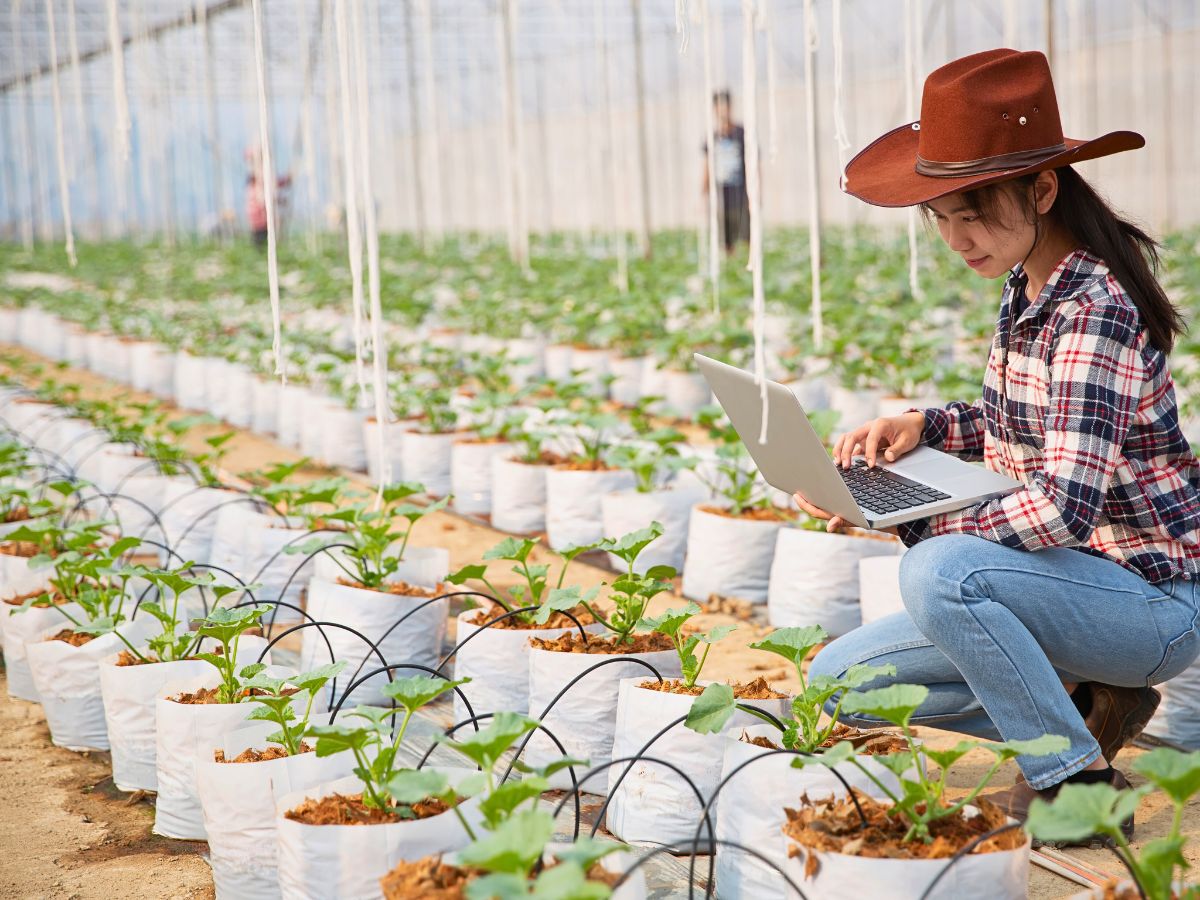 Greenhouse plant cultivation Data-Driven Analytics Help Flower Farms Reduce Their Environmental Impact