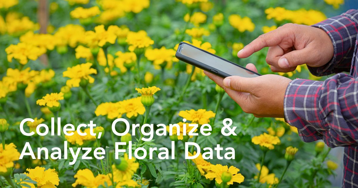 How Data-Driven Analytics Help Flower Farms Reduce Their Environmental Impact - Thursd Blog