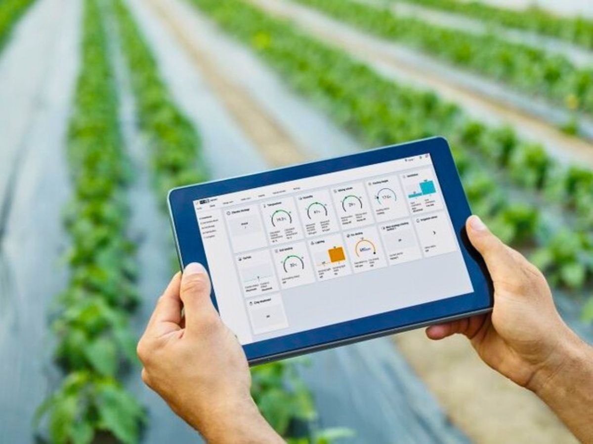 Data driven plant cultivation How Data-Driven Analytics Help Flower Farms Reduce Their Environmental Impact