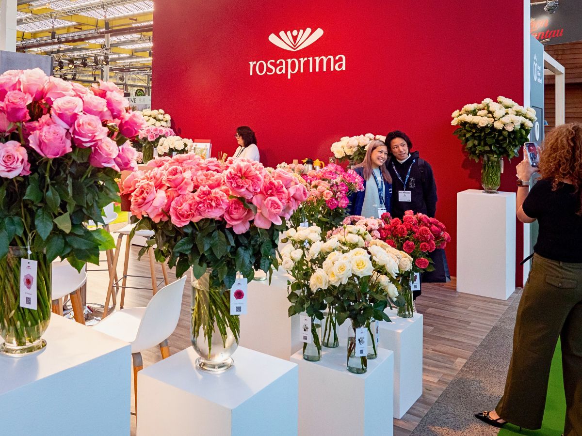 Rosaprima at the IFTF IFTF 2025 Is the Global Stage for Floriculture Excellence - Thursd Article