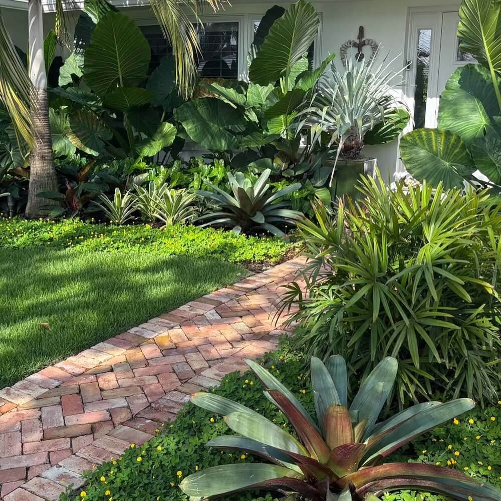 Lush tropical garden pathway and plants
