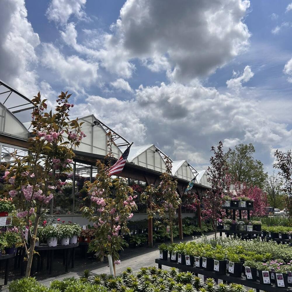 Metal nursery structure under cloudy sky