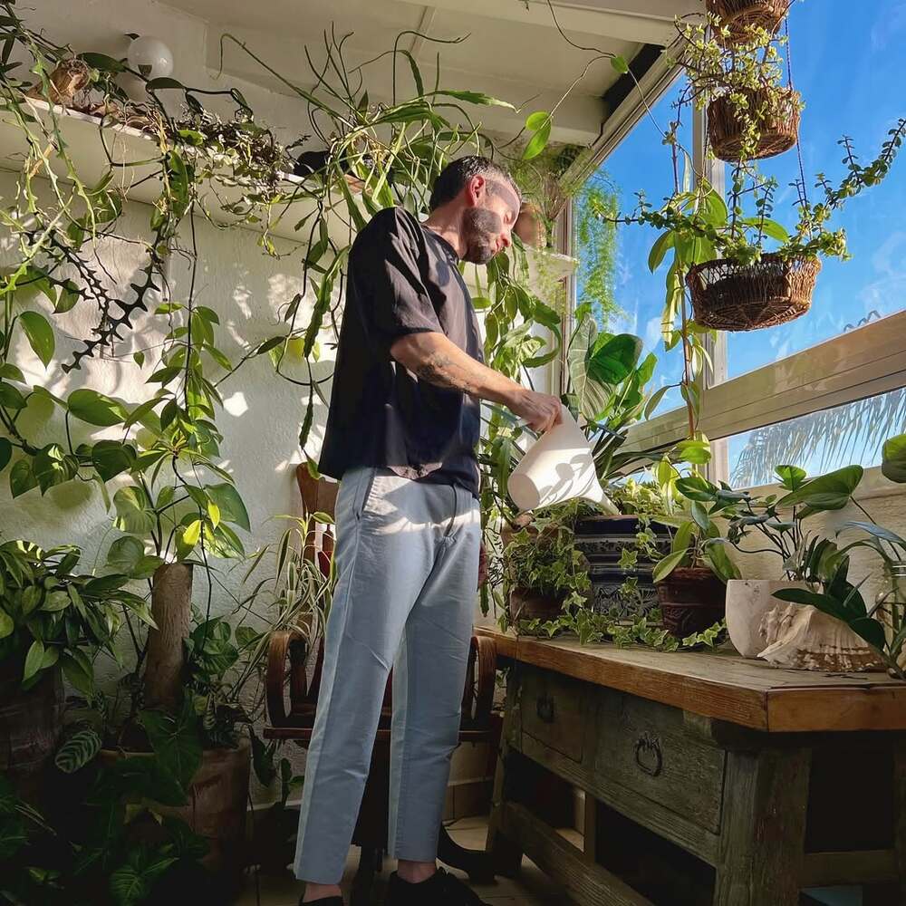 Greenhouse structure with flowering plants inside